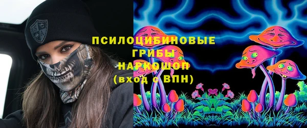 бошки Тобольск
