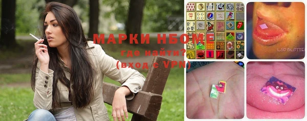 ГАЛЛЮЦИНОГЕННЫЕ ГРИБЫ Осташков