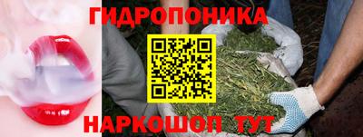 стафф Будённовск