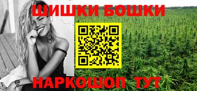 стафф Будённовск