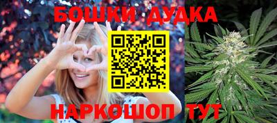 стафф Будённовск