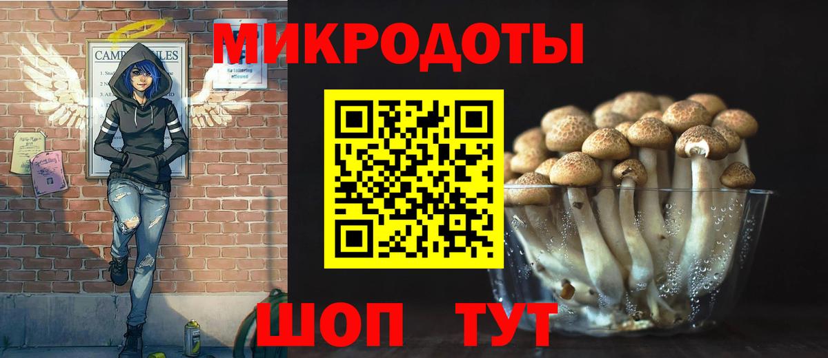 как найти наркотики  Псилоцибиновые грибы GOLDEN TEACHER  Вход с VPN  Кудрово  Псилоцибиновые грибы мухоморы 