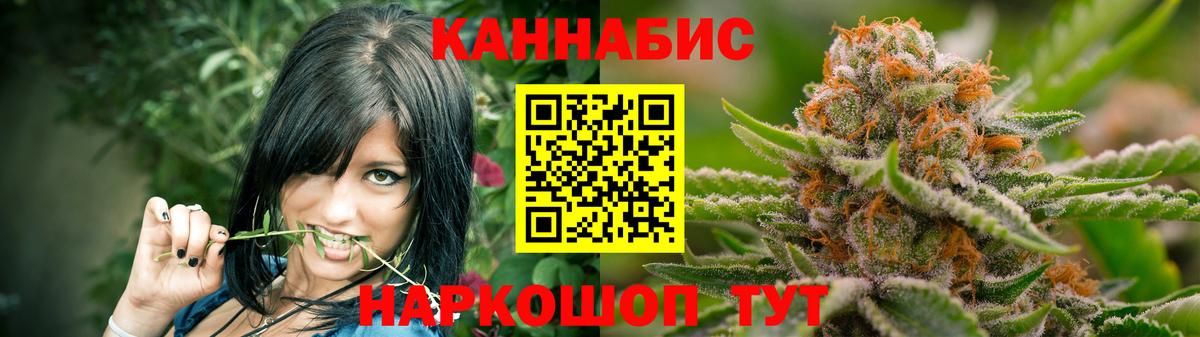 МАРИХУАНА сатива Кудрово